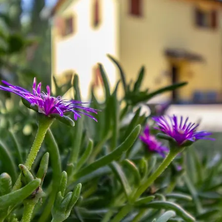 3t - Affitti Brevi Italia 3* Módena