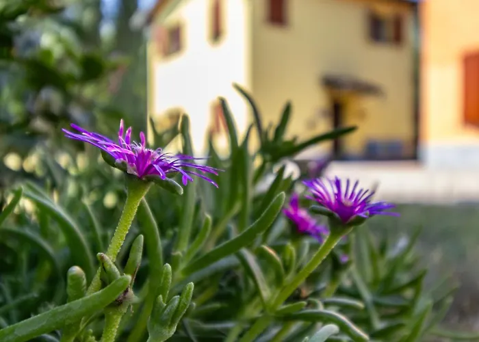 3t - Affitti Brevi Italia 3* Modène